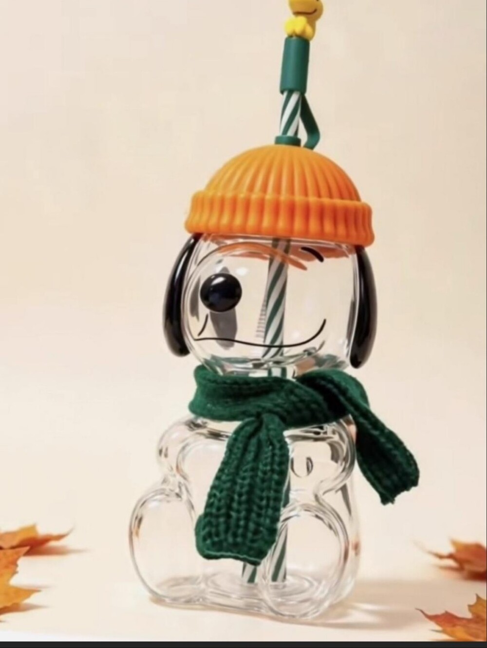 Starbucks x Peanuts Snoopy Clear Cup Limited Edition